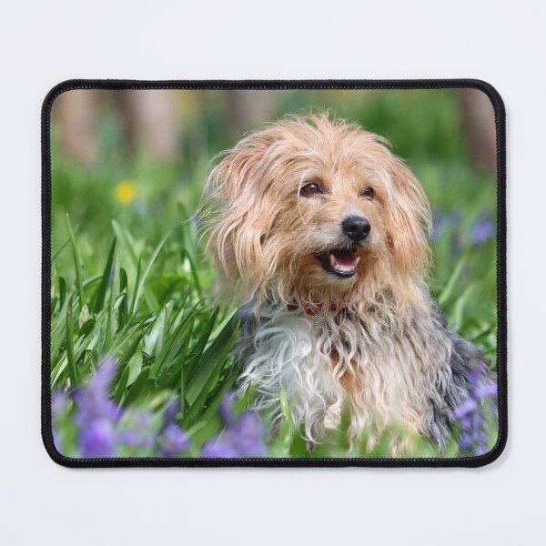 Item preview, Dog in bluebells designed and sold by GreyFeatherPhot.