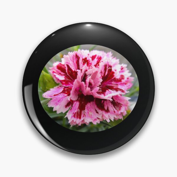 Item preview, Speckled carnation designed and sold by furayviltz.