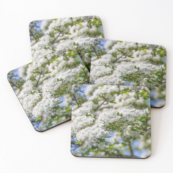 Item preview, White Blossom designed and sold by Dave Hare Photography.