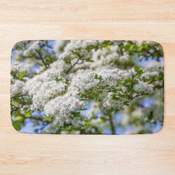 Item preview, White Blossom designed and sold by Dave Hare Photography.