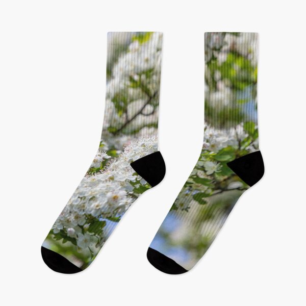 Item preview, White Blossom designed and sold by Dave Hare Photography.