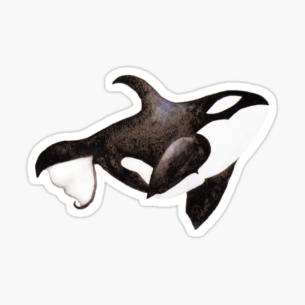 Orca whale in watercolour Sticker