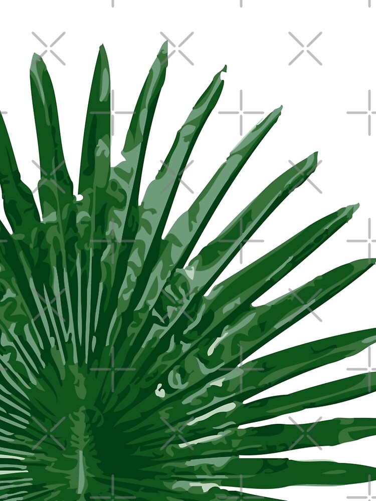 Fan Palm Leaf by MyArt23