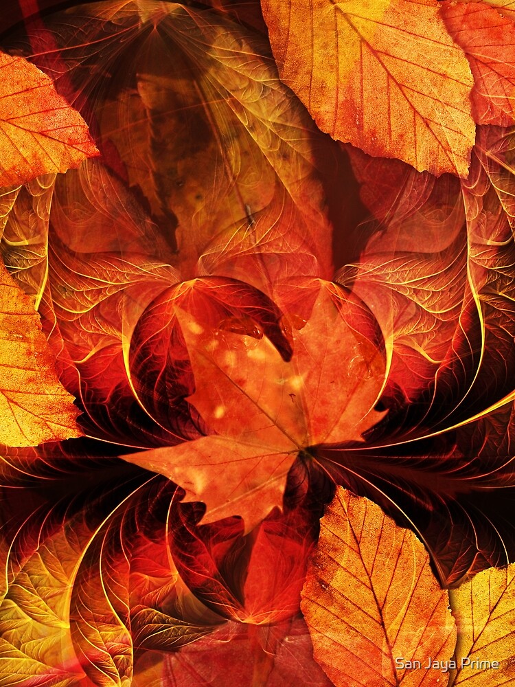 Apoptosis: The Fractal Geometry of Falling Leaves by jayaprime