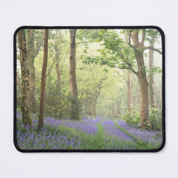 Item preview, SECRET WOODLAND designed and sold by Andrew Hocking.
