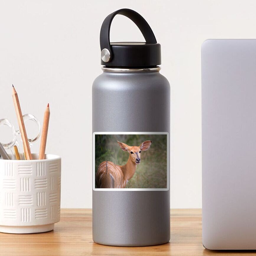  Nyala  Sticker by ScottCarr Redbubble