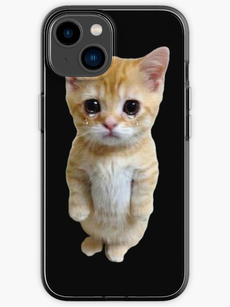  iPhone X/XS Hiss Off Funny Cat Meme Fluffy Kitten Cute