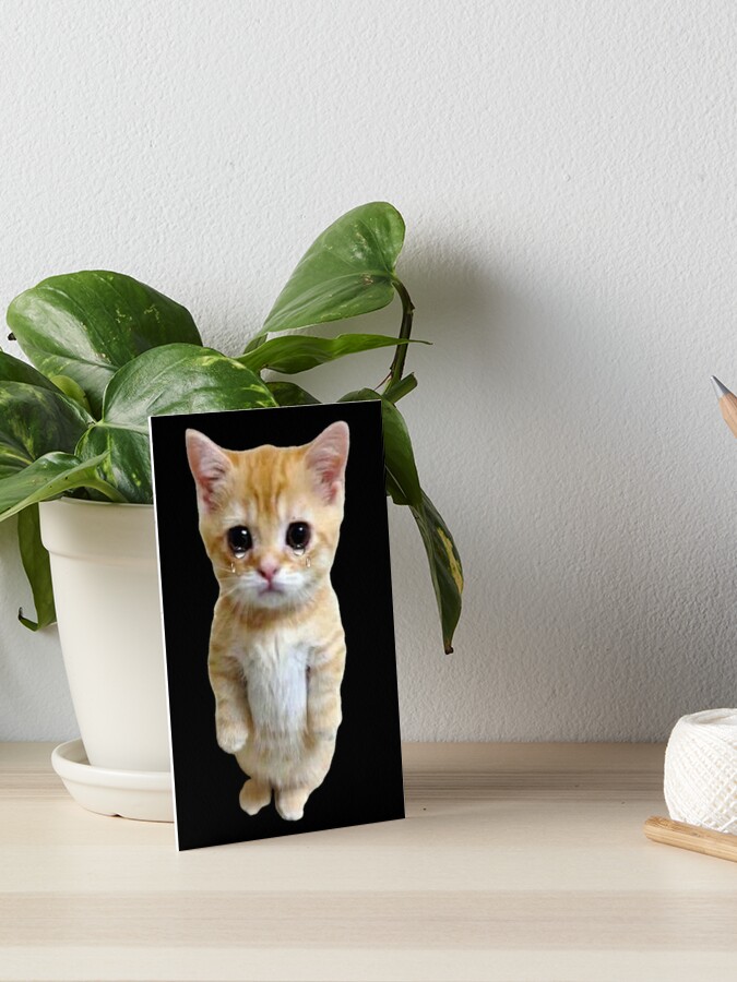 HQ Sad Crying Cat Standing Up Meme Photographic Print for Sale by  fomodesigns