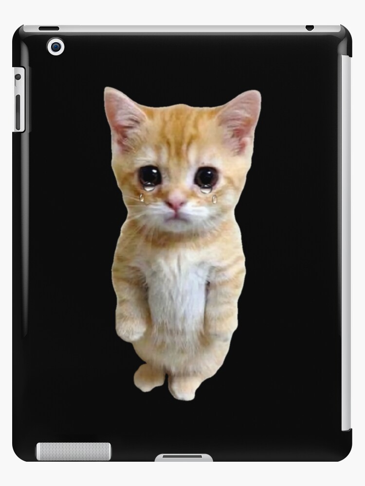 HQ Sad Crying Cat Standing Up Meme Photographic Print for Sale by  fomodesigns