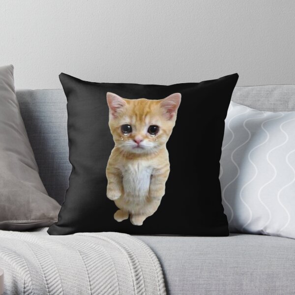  Beluga Cat Throw Pillow, 18x18, Multicolor : Home & Kitchen
