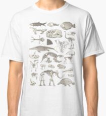 Paläontologie-Illustration Classic T-Shirt