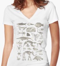 Paleontology Illustration Women's Fitted V-Neck T-Shirt