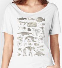 Paleontology Illustration Women's Relaxed Fit T-Shirt