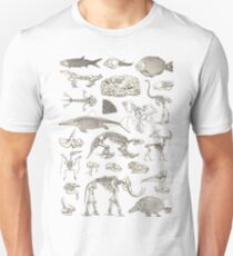 Paleontology Illustration Unisex T-Shirt