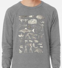 Sudadera ligera Ilustración Paleontología