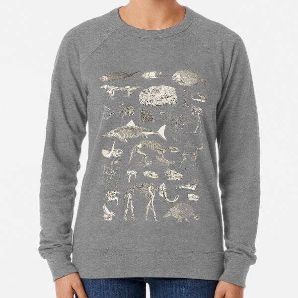 Paleontology Illustration Lightweight Sweatshirt