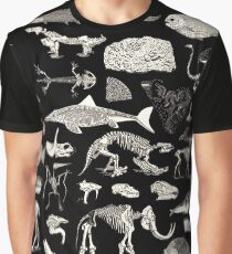 Camiseta gráfica Ilustración Paleontología