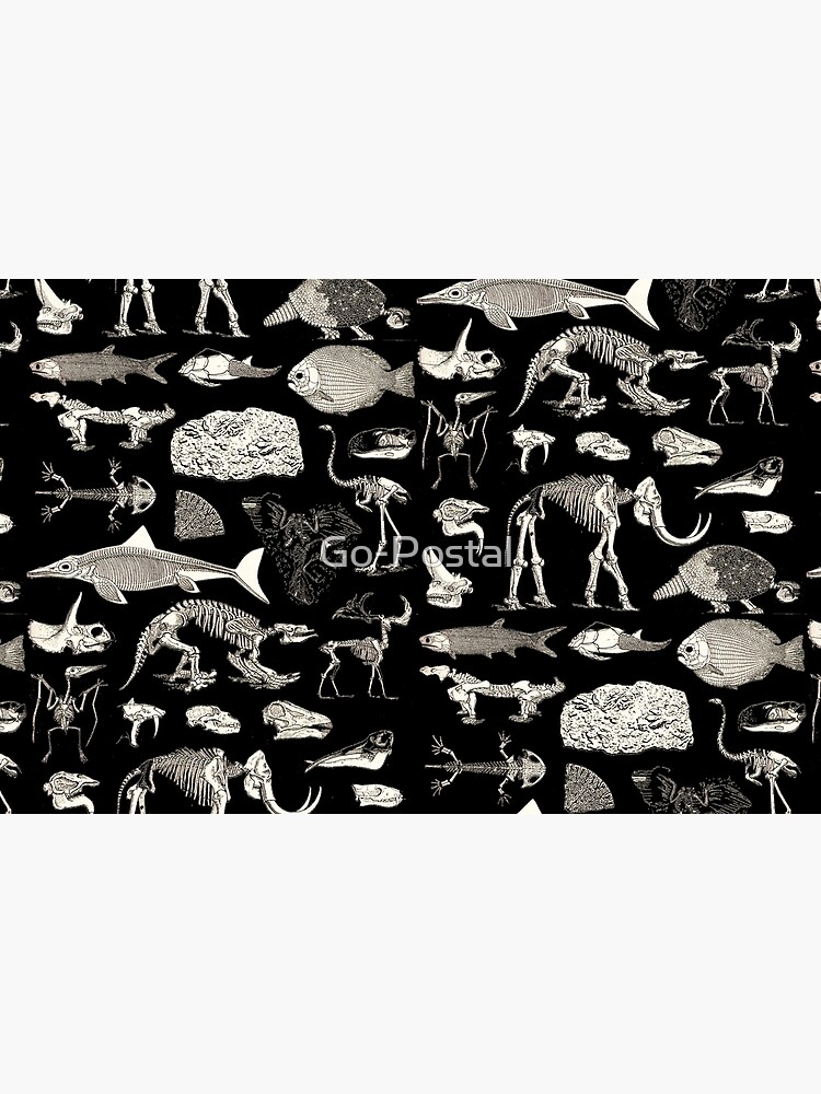 Paleontology Illustration by Go-Postal