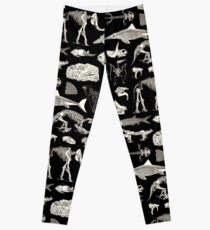 Paläontologie-Illustration Leggings