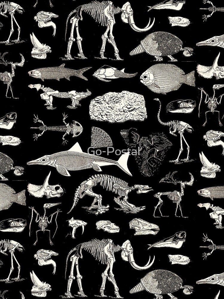 Paleontology Illustration by Go-Postal