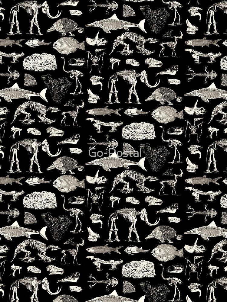 Paleontology Illustration by Go-Postal