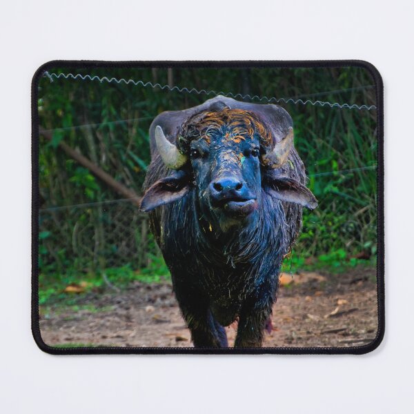 Item preview, An Ukumari Water Buffalo designed and sold by alabca.