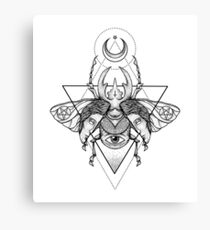 Occult Beetle II Canvas Print