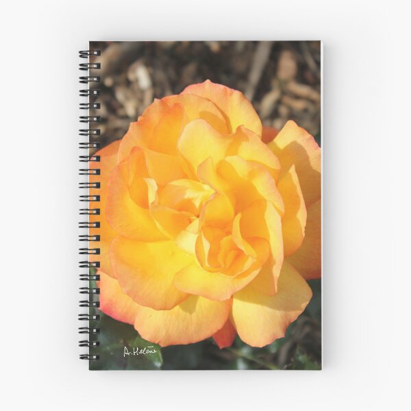 Item preview, Rose d or designed and sold by AHELENE.