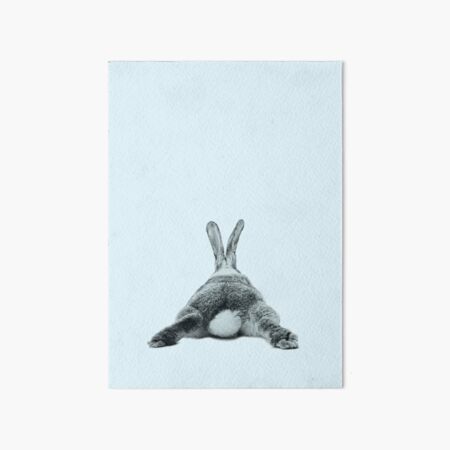 Rabbit 24 Galeriedruck