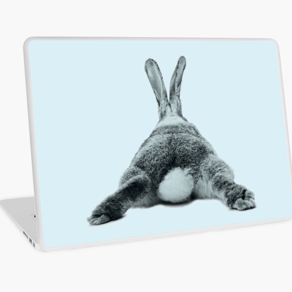 Rabbit 24 Laptop Folie