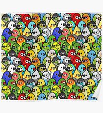 Too Many Birds! Bird Squad 1 Poster