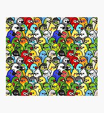 Too Many Birds! Bird Squad 1 Photographic Print