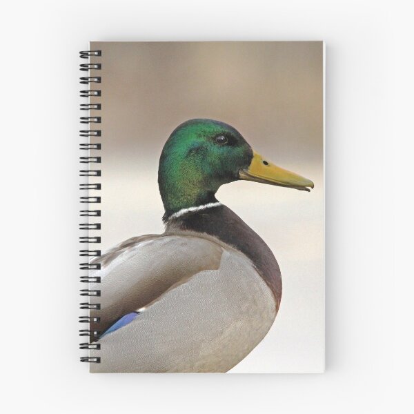 Item preview, Drake Mallard designed and sold by Debbie Oppermann.