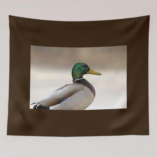 Item preview, Drake Mallard designed and sold by Debbie Oppermann.