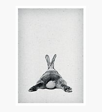 Rabbit 20 Fotodruck