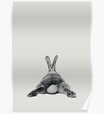 Rabbit 23 Poster