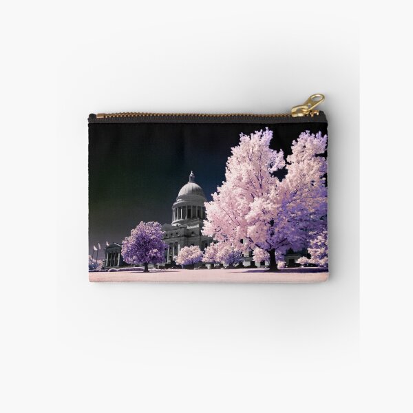 Item preview, Arkansas State Capitol - Infrared designed and sold by mal-photography.
