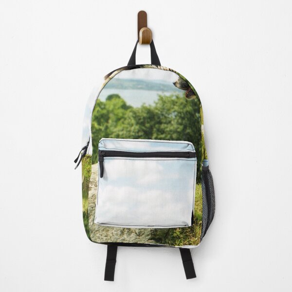 Item preview, Indy on high! designed and sold by Michael Haslam.