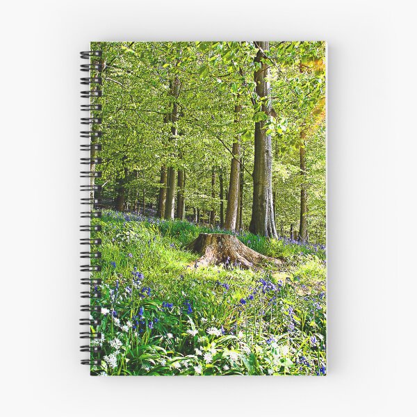 Item preview, Cotswolds Bluebells designed and sold by Graz-Photos.
