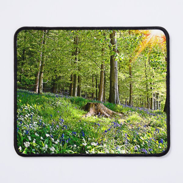 Item preview, Cotswolds Bluebells designed and sold by Graz-Photos.