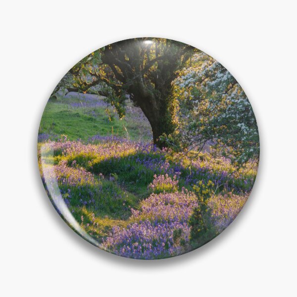 Item preview, Sunset in bluebell wood, springtime. designed and sold by sandyprints.