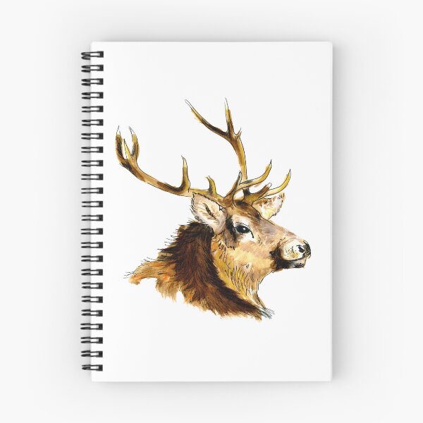 Item preview, Red deer stag with thirteen points on its antlers. designed and sold by janesg.