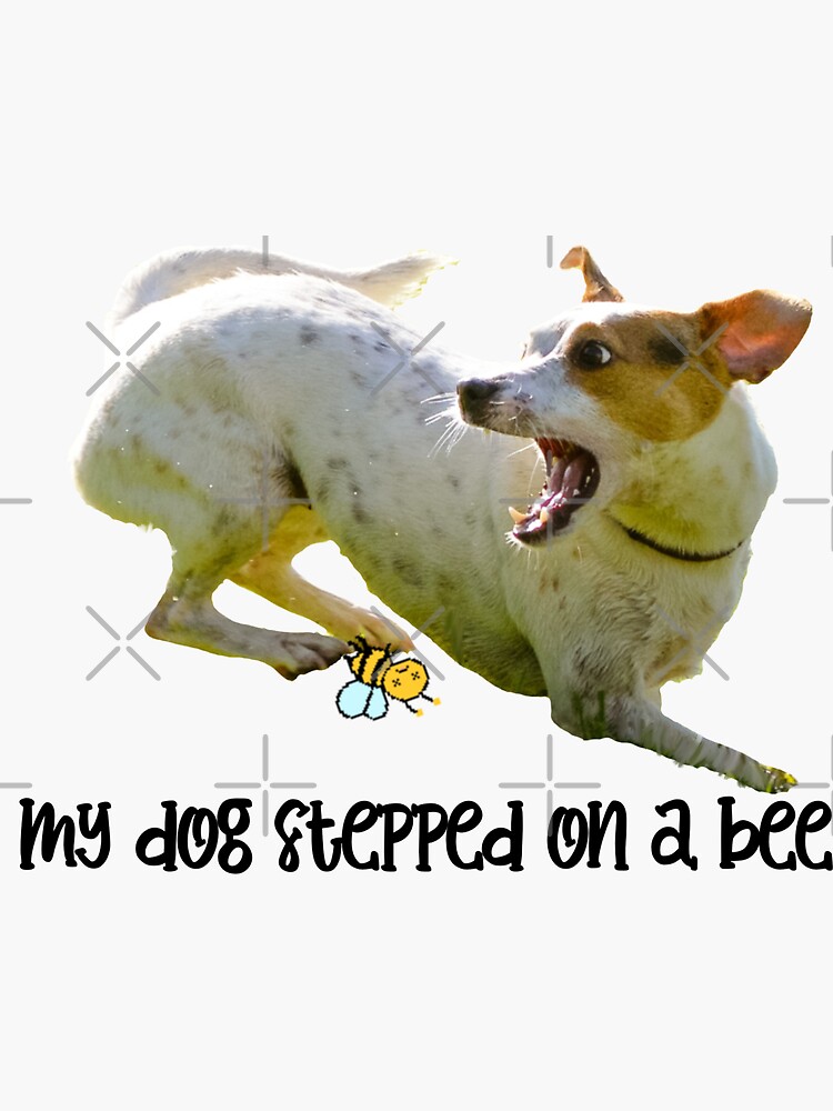 My dog stepped on a bee - My Dog Stepped On A Bee - Sticker