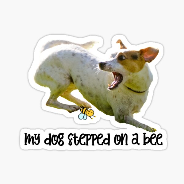My dog stepped on a bee | Sticker