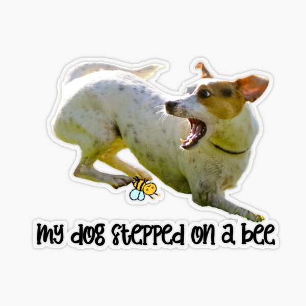 My Dog Stepped On A Bee by MrAwesome45 on DeviantArt