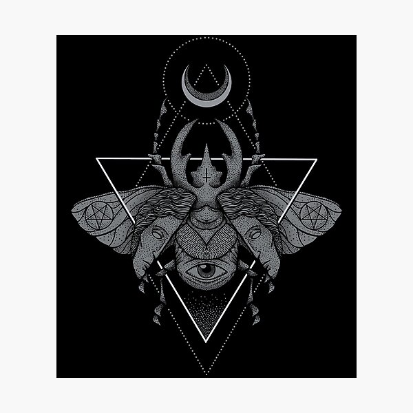 Occult Beetle Photographic Print
