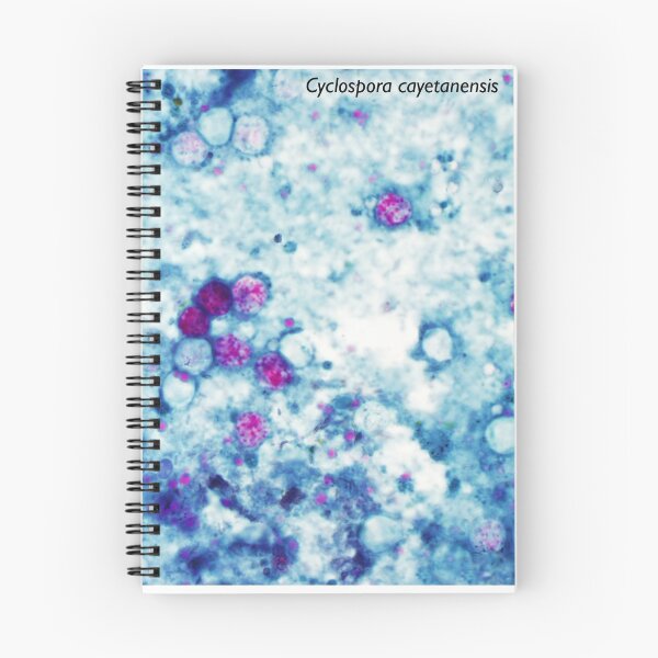 Item preview, Cyclospora cayetanensis designed and sold by Bobbi Pritt.