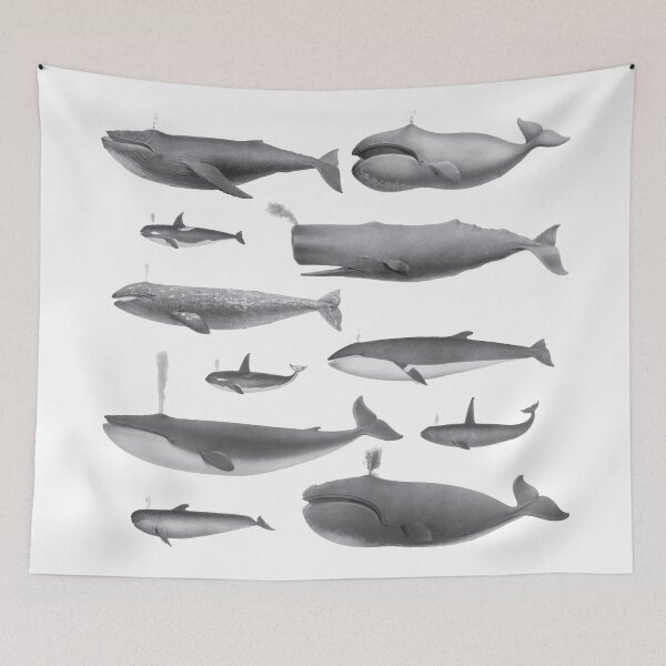 Item preview, Oh Whale, Whale, Whale designed and sold by chillaxcats.