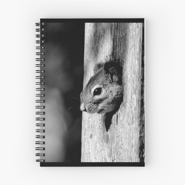 Item preview, Playing Peek-a-boo! designed and sold by Kathleen Daley.