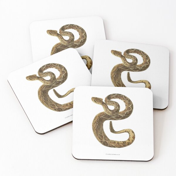 Item preview, Crotalus adamanteus designed and sold by diologic.